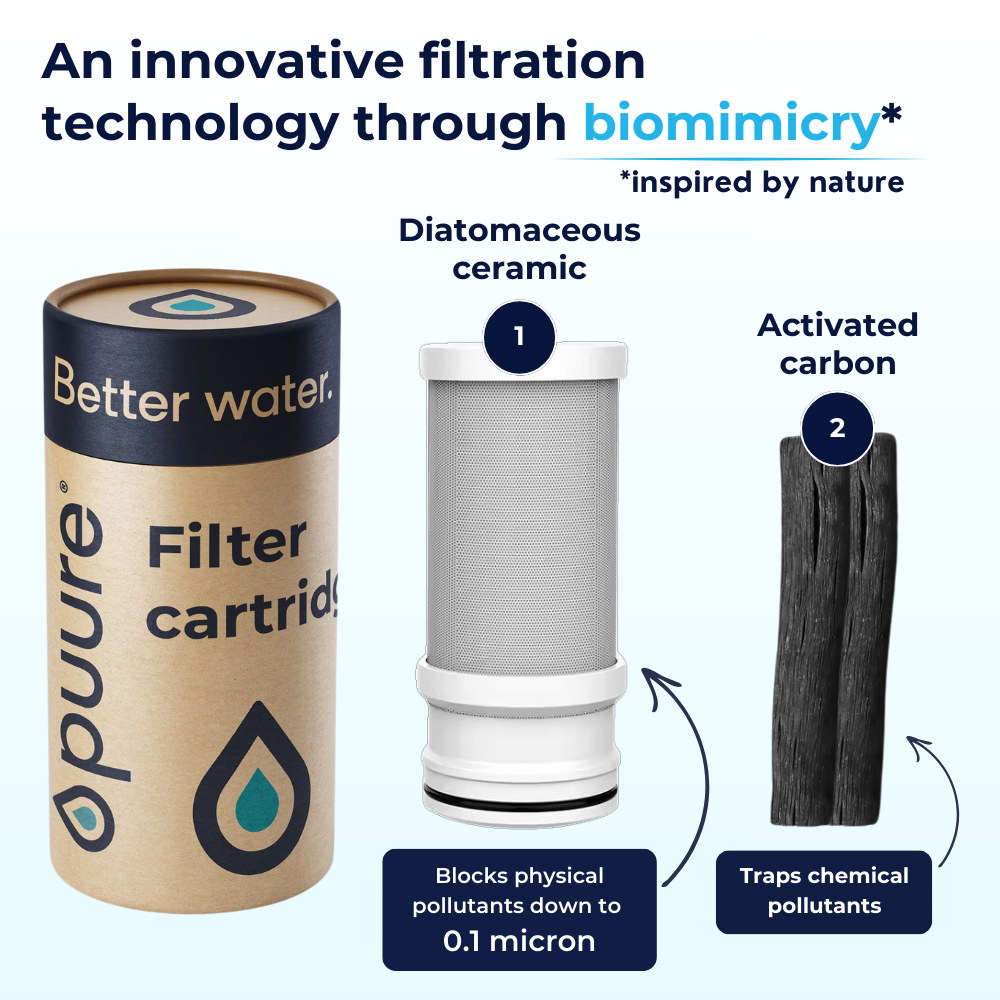 Stainless Steel Filter + Adapters